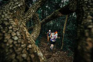 BIB: 
                            <button type="button" onclick="openModal(25697646)" class="btn btn-primary btn-sm float-right btn-popup" data-toggle="modal" data-target=".modal-high-quality">
                        <i class="fas fa-shopping-cart"></i> Add to Cart
                    </button>
                                            <button type="button" onclick="isThisMe(25697646, true)" class="btn btn-success btn-sm float-right btn-popup btn-isme hidden" data-toggle="tooltip" data-placement="bottom" title="นี่คือรูปของคุณใช่ไหม คลิกที่นี่เพื่อเอาเข้าอัลบั้ม">
                        <i class="fas fa-plus"></i> Add to album
                    </button>
                    <button type="button" onclick="isThisMe(25697646, false)" class="btn btn-warning btn-sm float-right btn-popup btn-isnotme hidden">
                        <i class="fas fa-ban"></i> Remove from album
                    </button>